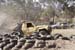 _MG_6475