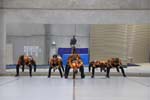 IMG_0655