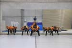 IMG_1208